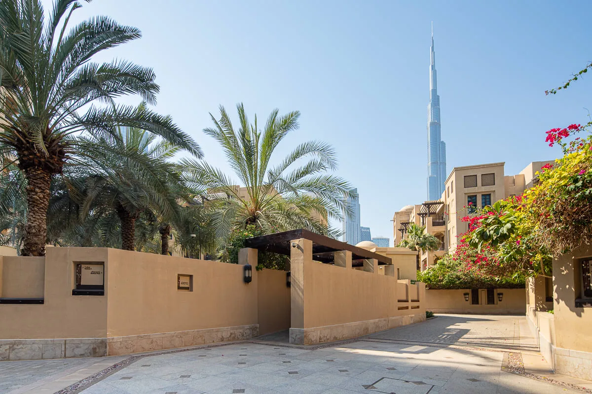 A paved courtyard entrance is lined with palms and flowering shrubs.