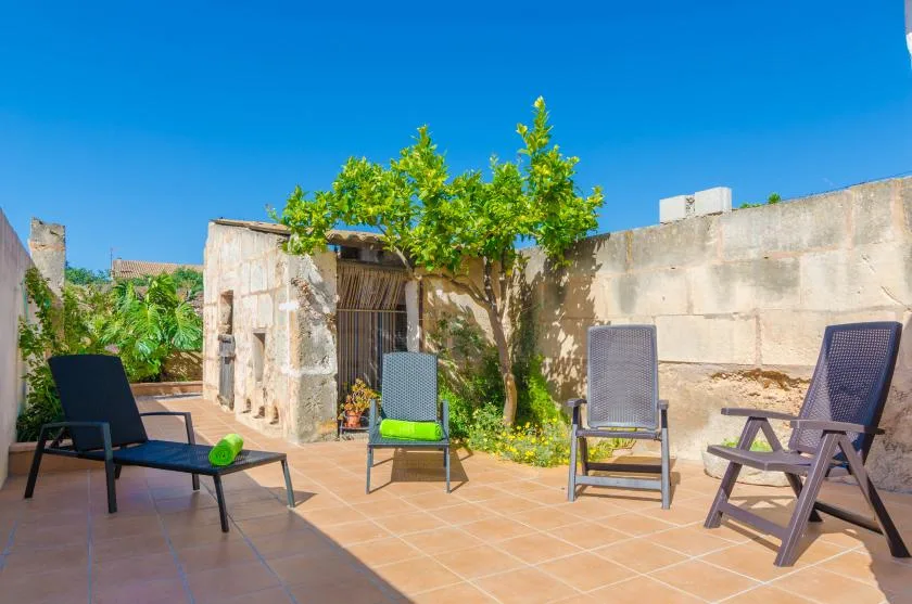 A sunlit stone patio with outdoor seating and a leafy tree.