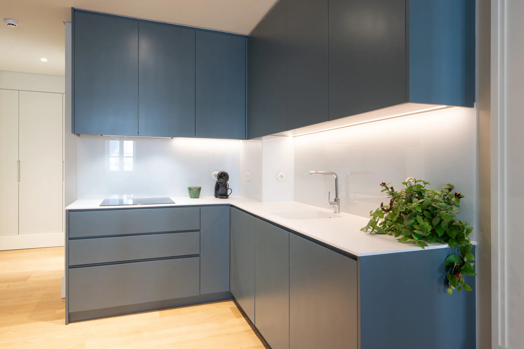 Una cocina moderna con gabinetes azules, una encimera clara y una planta en maceta.