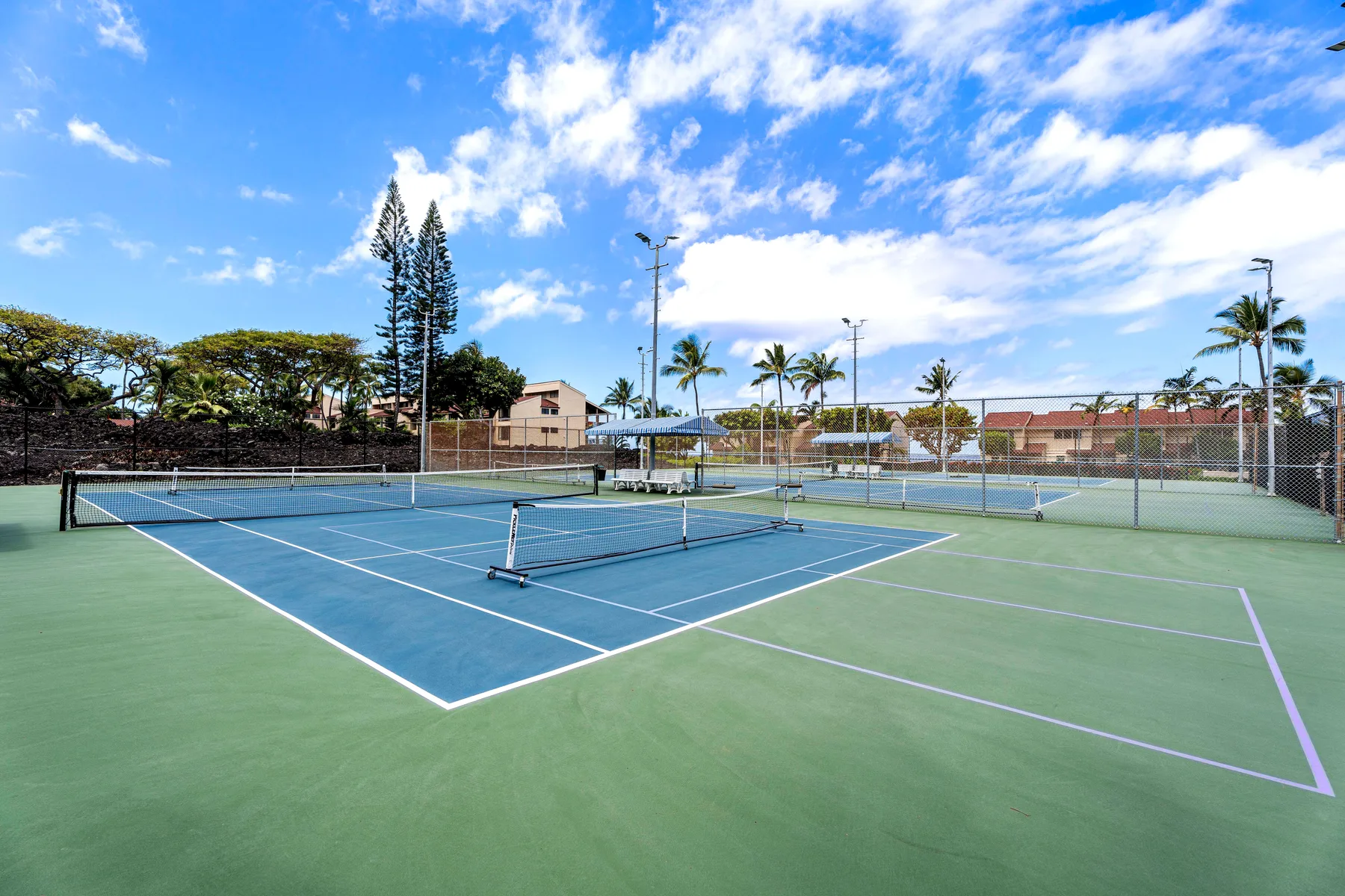 Canchas de tenis al aire libre con redes y palmeras al fondo.