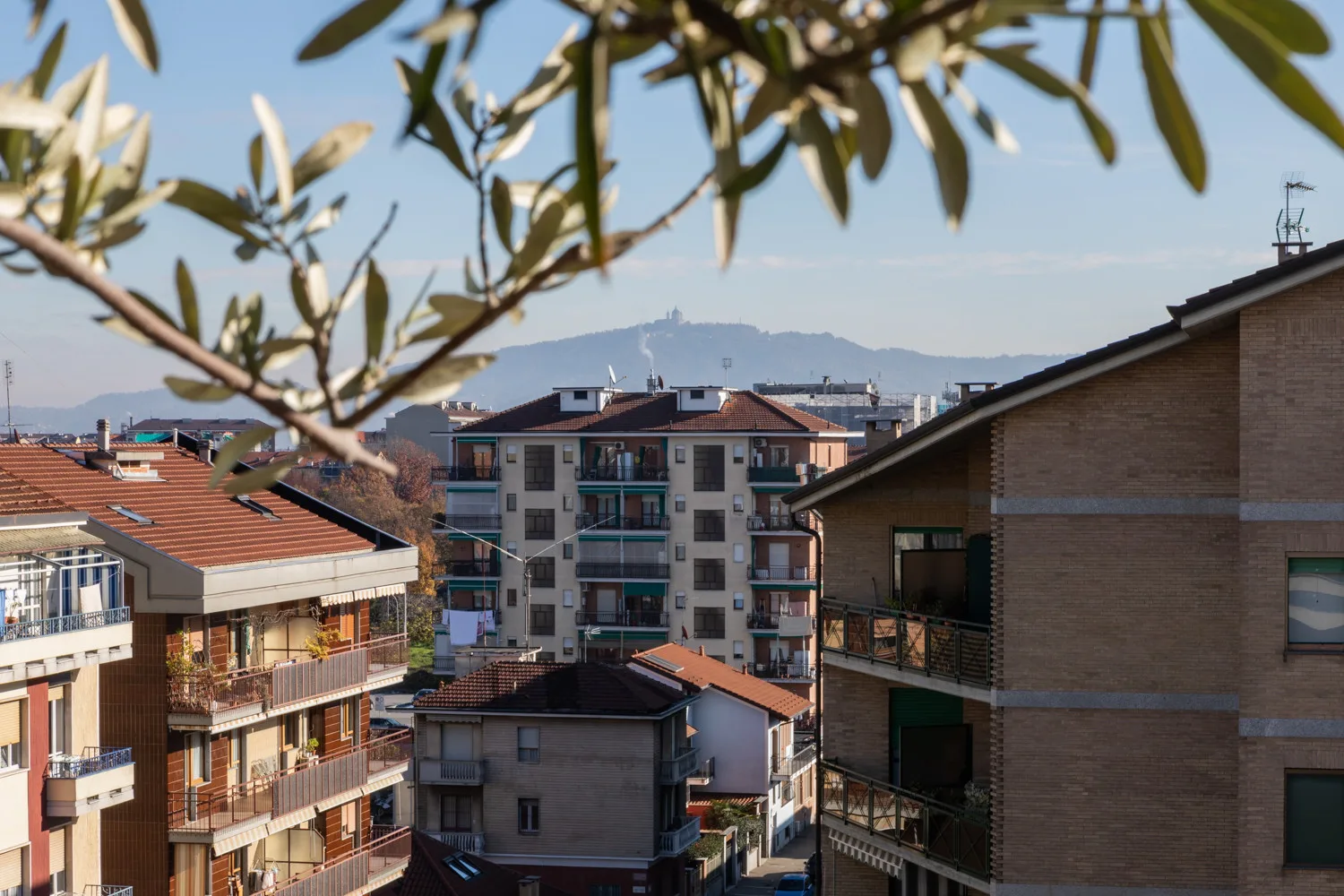 Urban residential buildings stand beneath a clear sky, with leafy branches in the foreground.