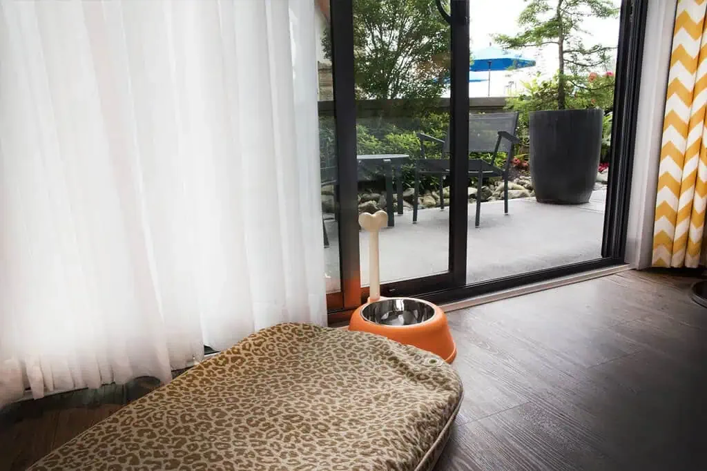 Habitación que admite perros, con cama para perros y bebedero