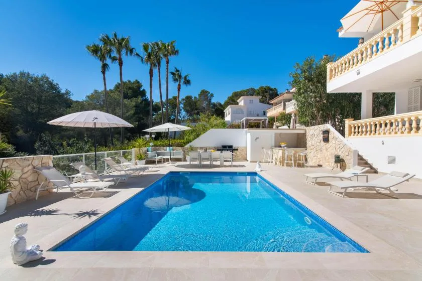 An outdoor swimming pool surrounded by lounge seating and palm trees.