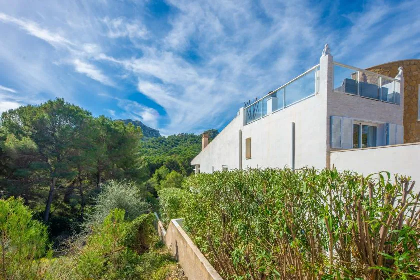 A white modern building with a glass-railed terrace stands beside wooded greenery.