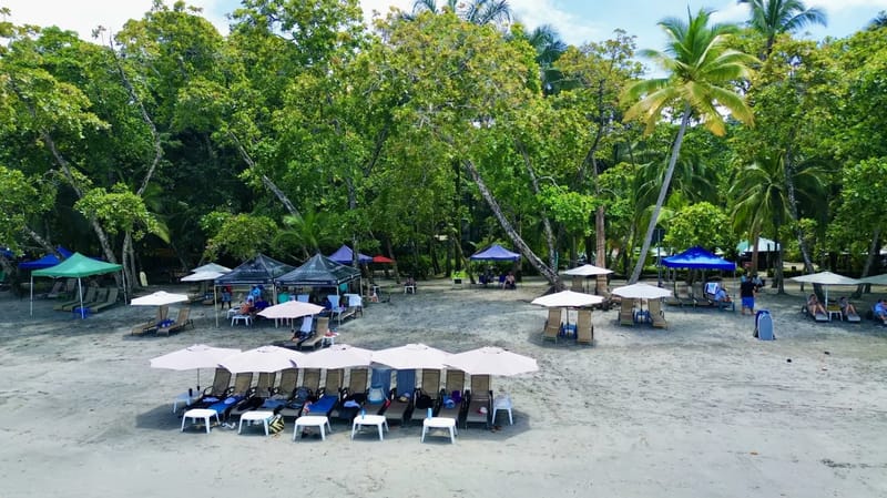 Casa Ama · 37. The sunny sandy beach at the Blue Horizon Beach Club presents rows of shaded lounge chairs nestled against a backdrop of tropical jungle.