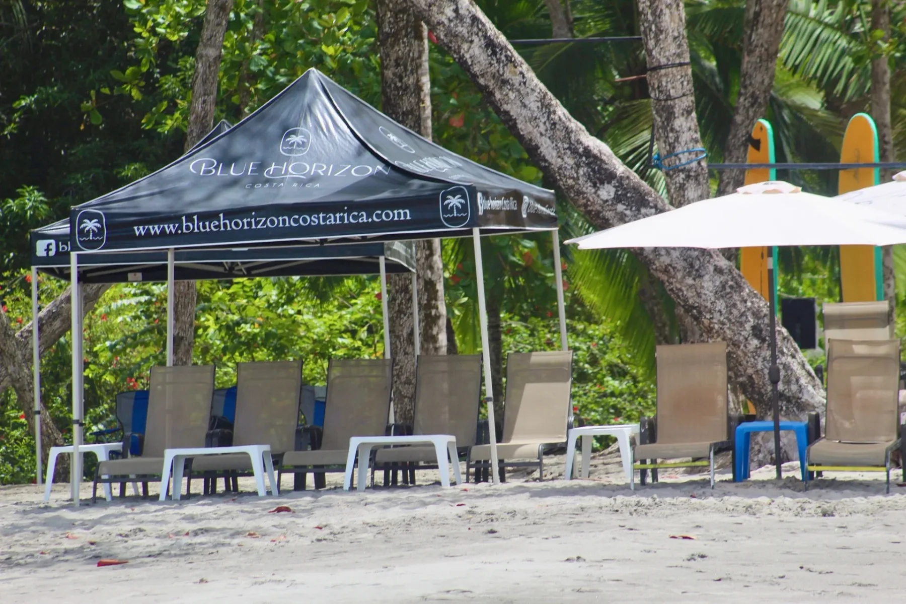 Casa Ama · 18. A designated beach area offers shaded lounge chairs and small tables on the sand, backed by lush tropical trees.