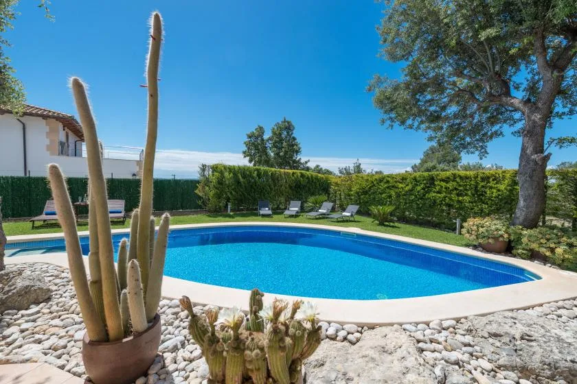 Una piscina al aire libre está rodeada de piedras claras, vegetación y asientos.