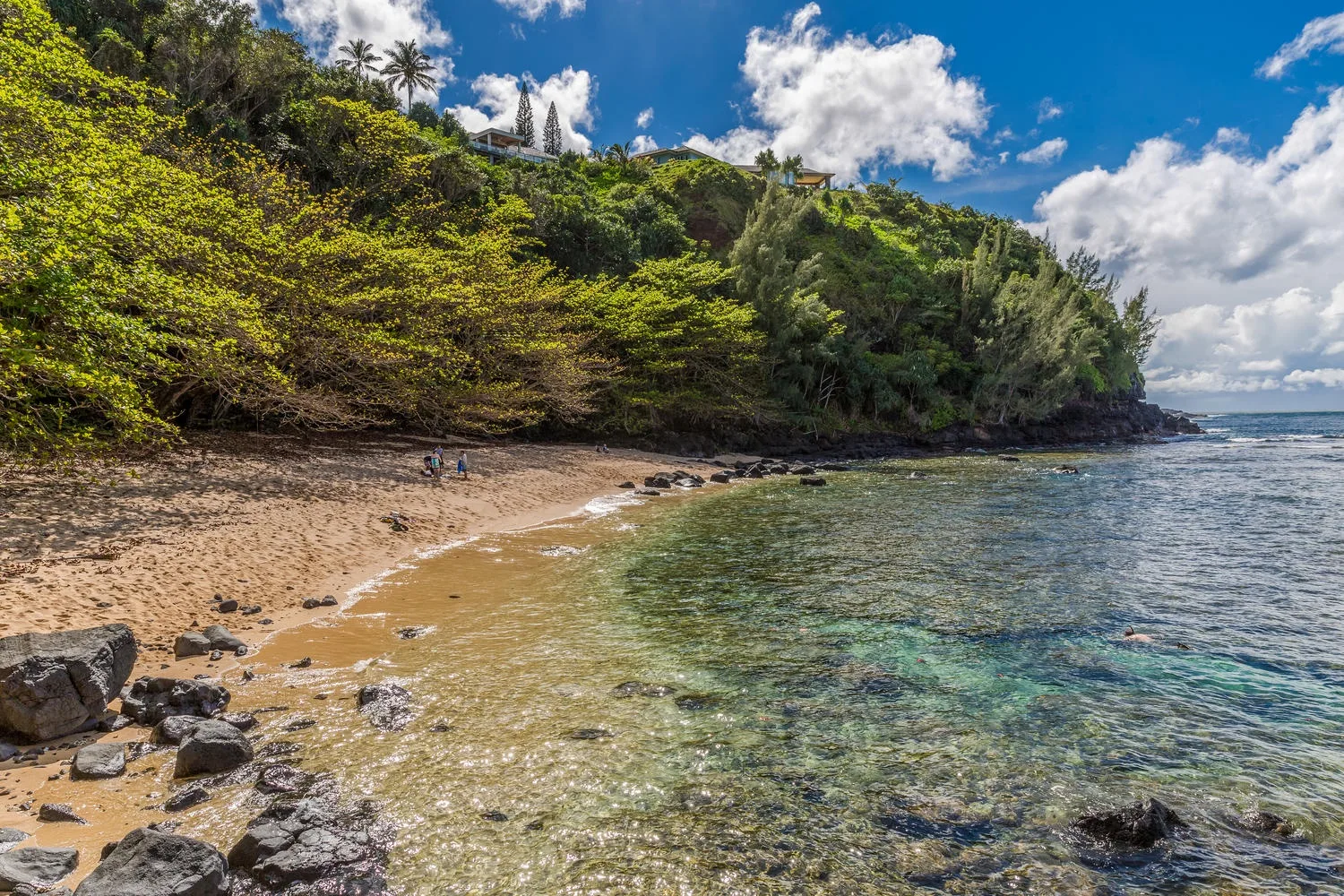 Pili Aloha