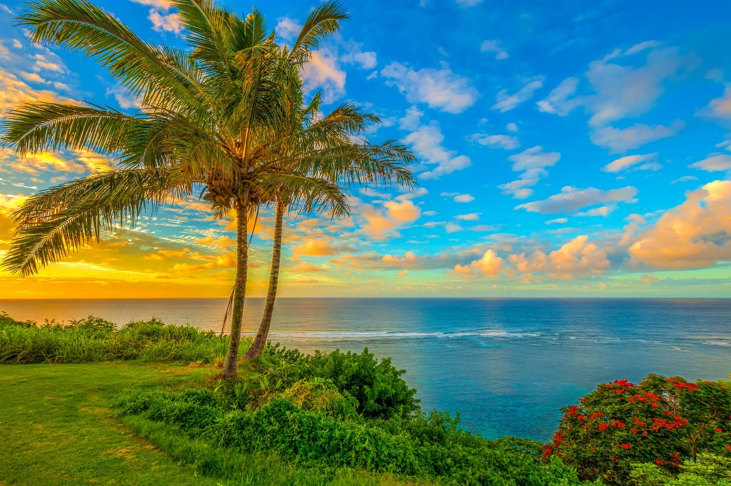 Pili Aloha