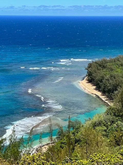 Pili Aloha
