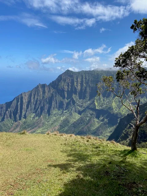 Pili Aloha