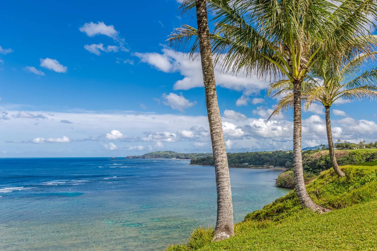 Pili Aloha