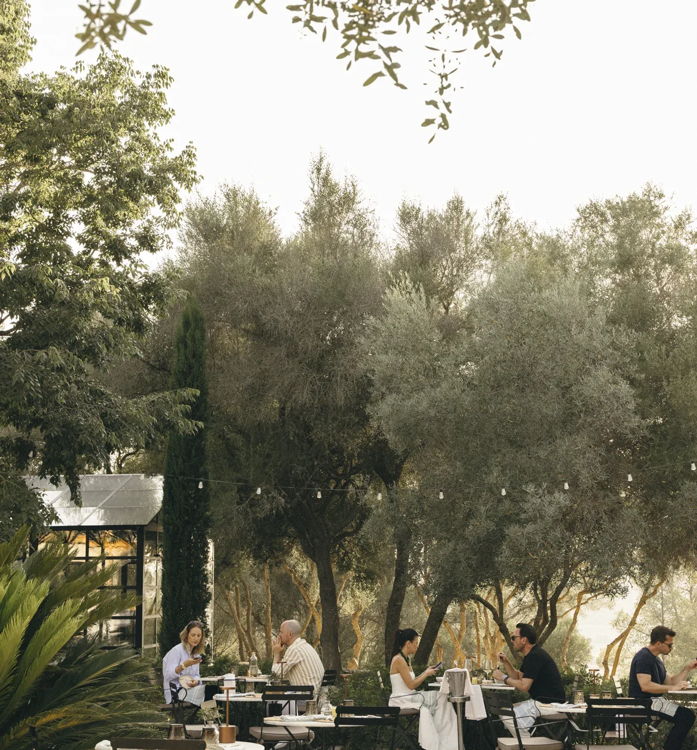 Finca Serena Mallorca property photo