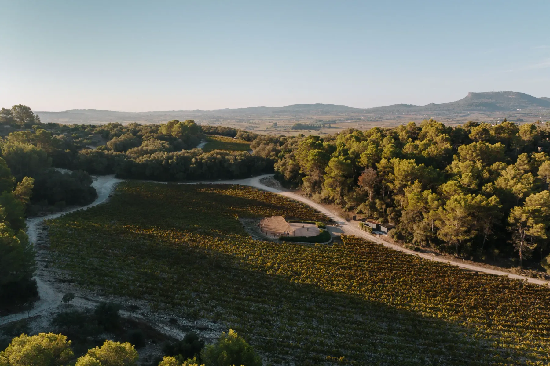 Finca Serena Mallorca property photo