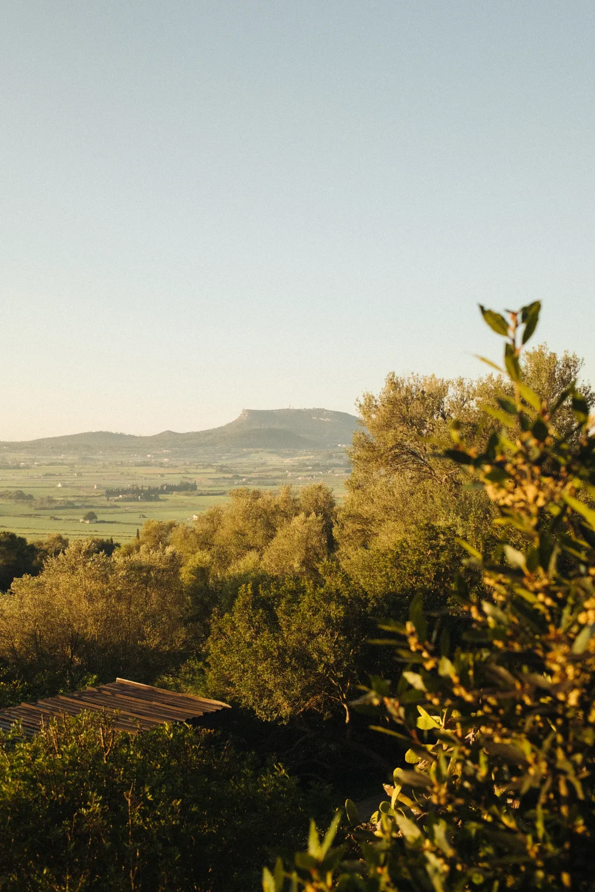 Finca Serena Mallorca property photo
