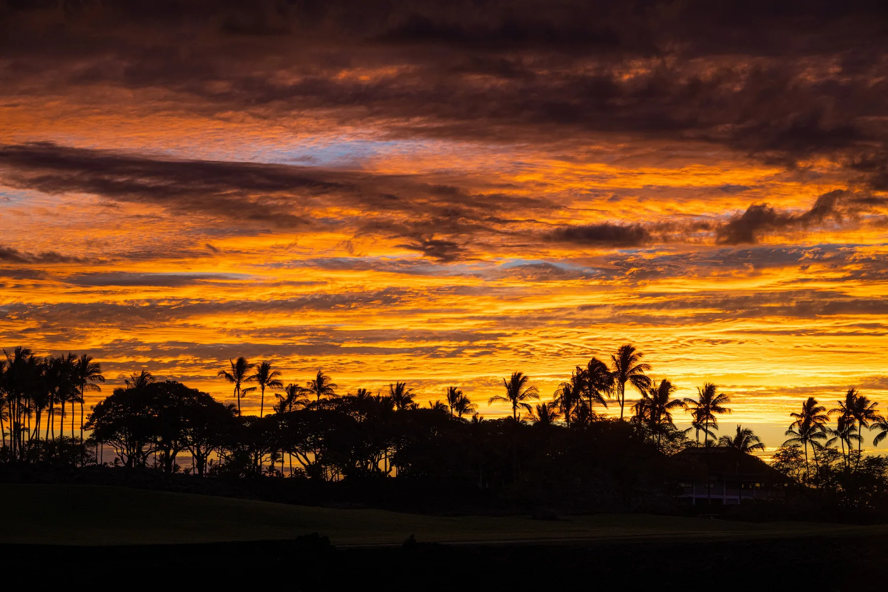 Un atardecer intenso brilla detrás de palmeras en silueta junto al horizonte.