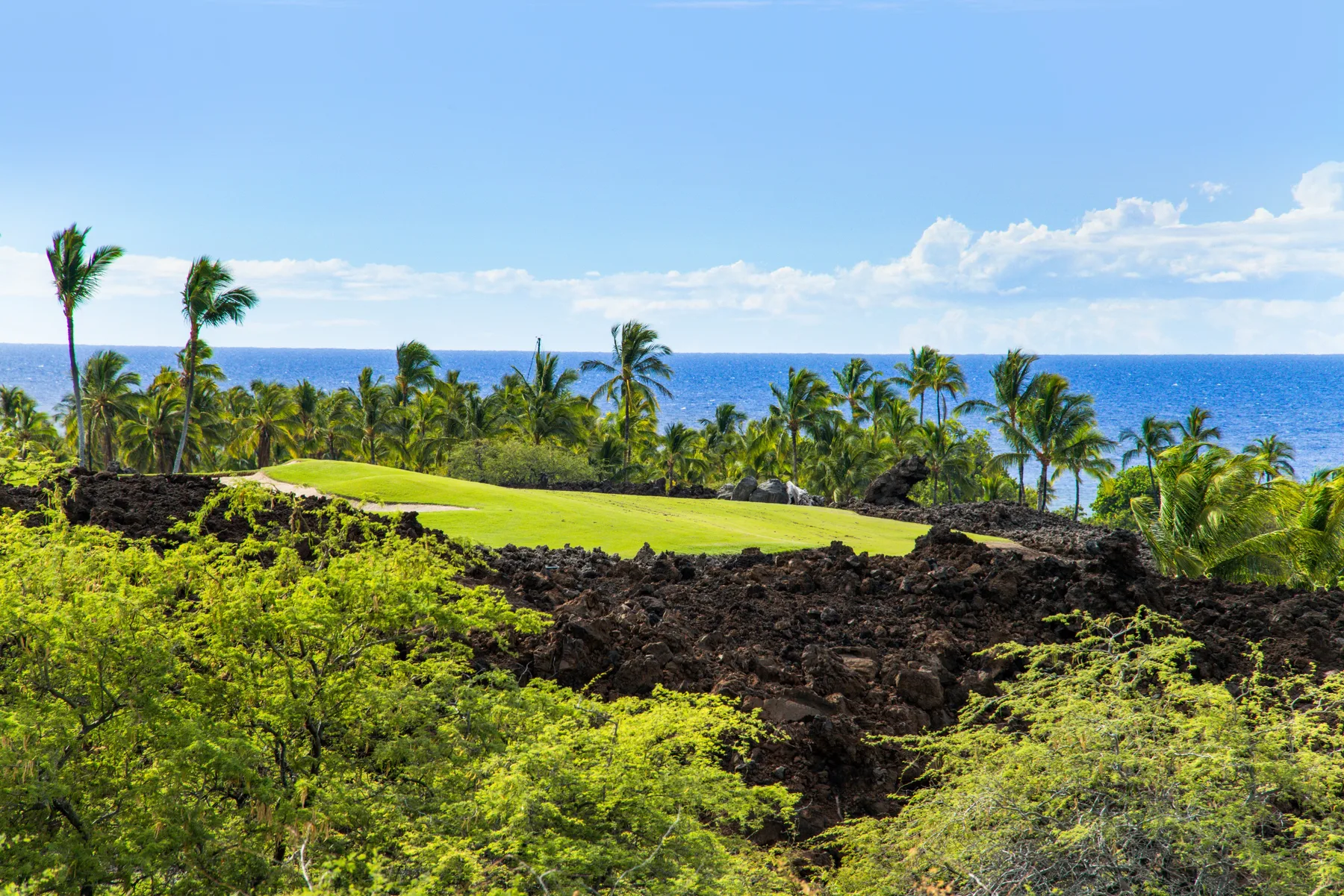 Un campo de golf verde mira hacia rocas volcánicas oscuras, palmeras y el océano.