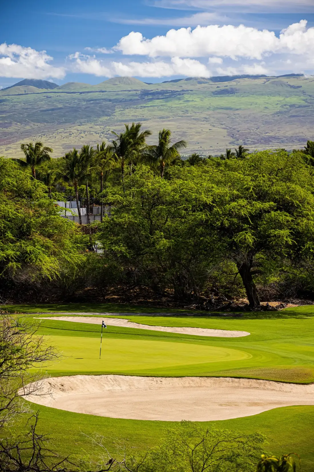 Un green de golf y un búnker de arena se encuentran bajo una ladera arbolada con montañas al fondo.