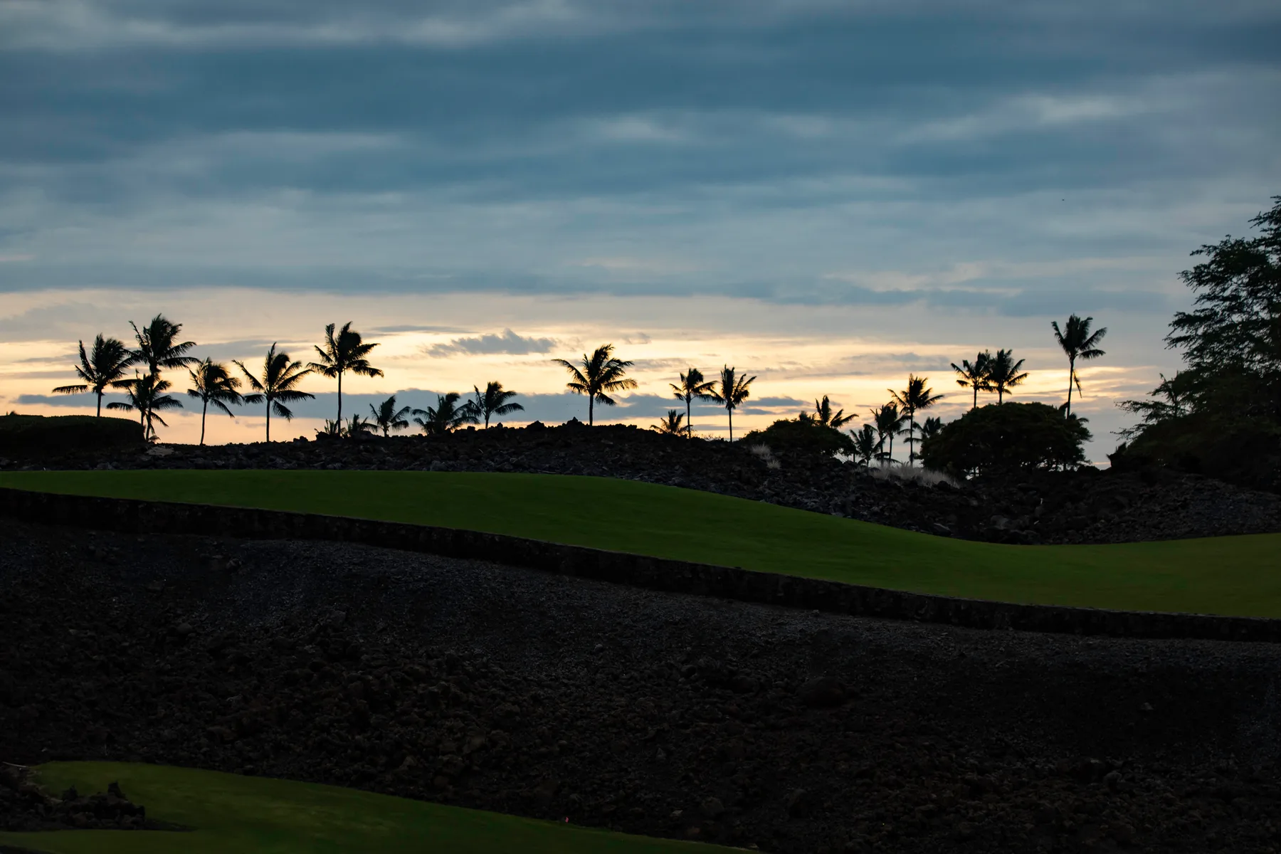 Un paisaje de césped y palmeras en silueta bajo un cielo nublado al atardecer.