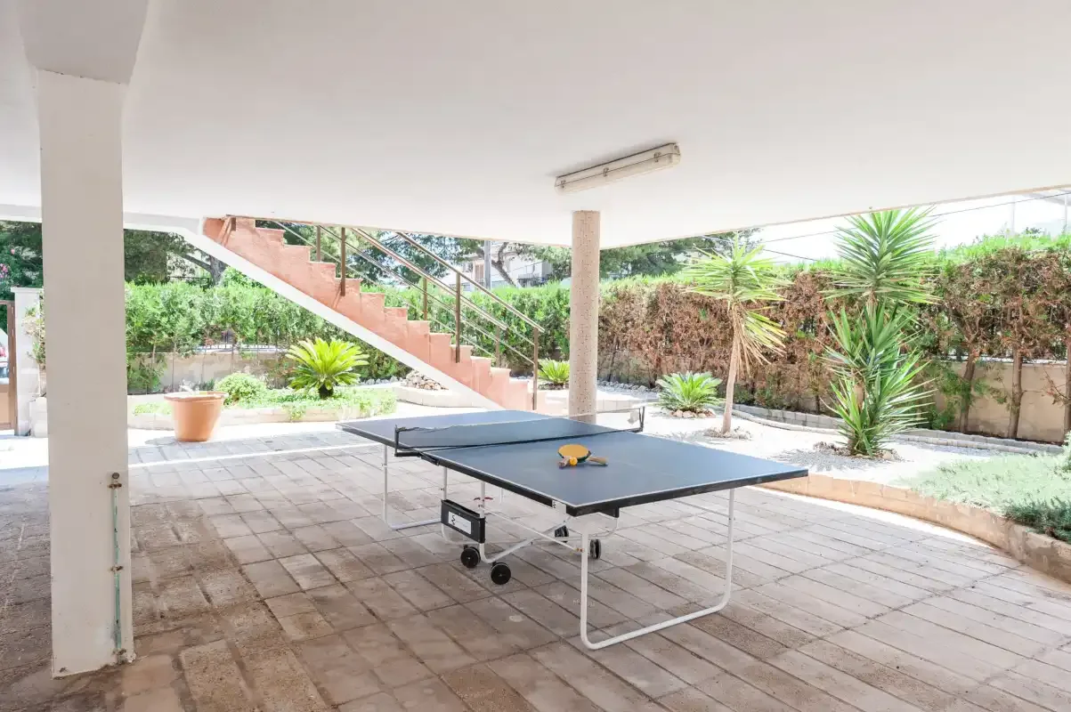 A covered patio with a ping-pong table and garden plants.