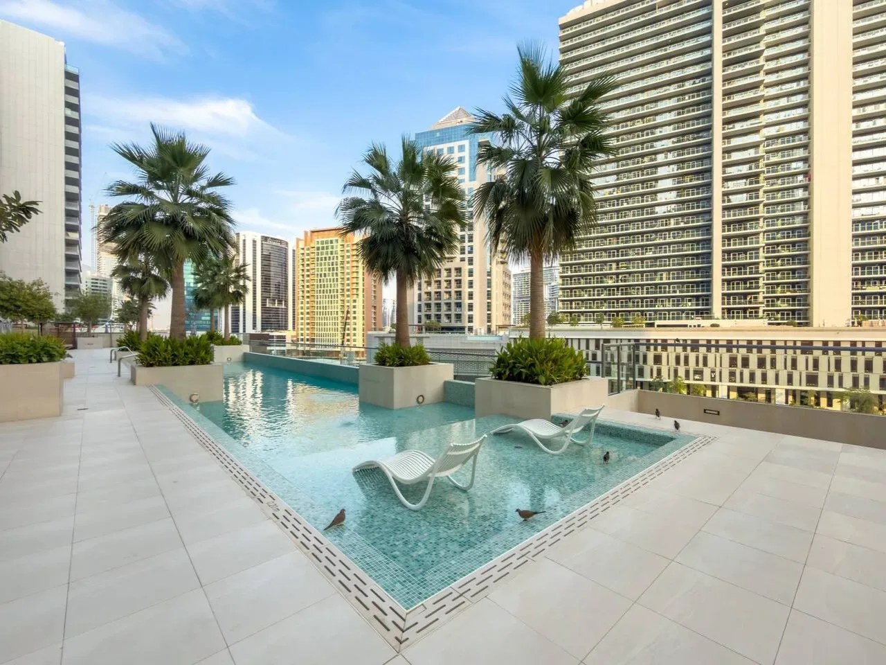Una piscina en la azotea está rodeada de palmeras y edificios altos.
