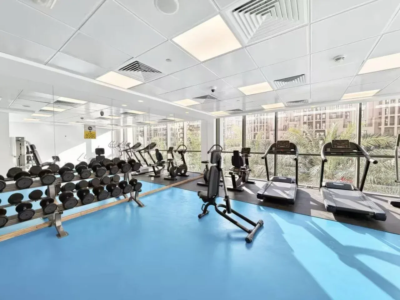 A bright gym with exercise machines, treadmills, and dumbbells beside large windows.