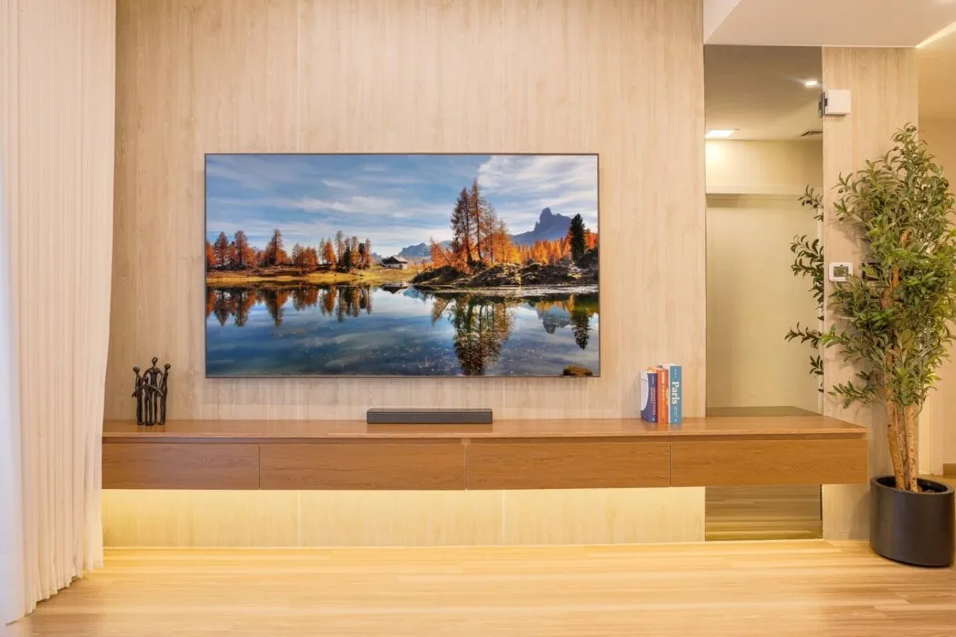 A living room wall features a television, a floating console, and a potted plant.
