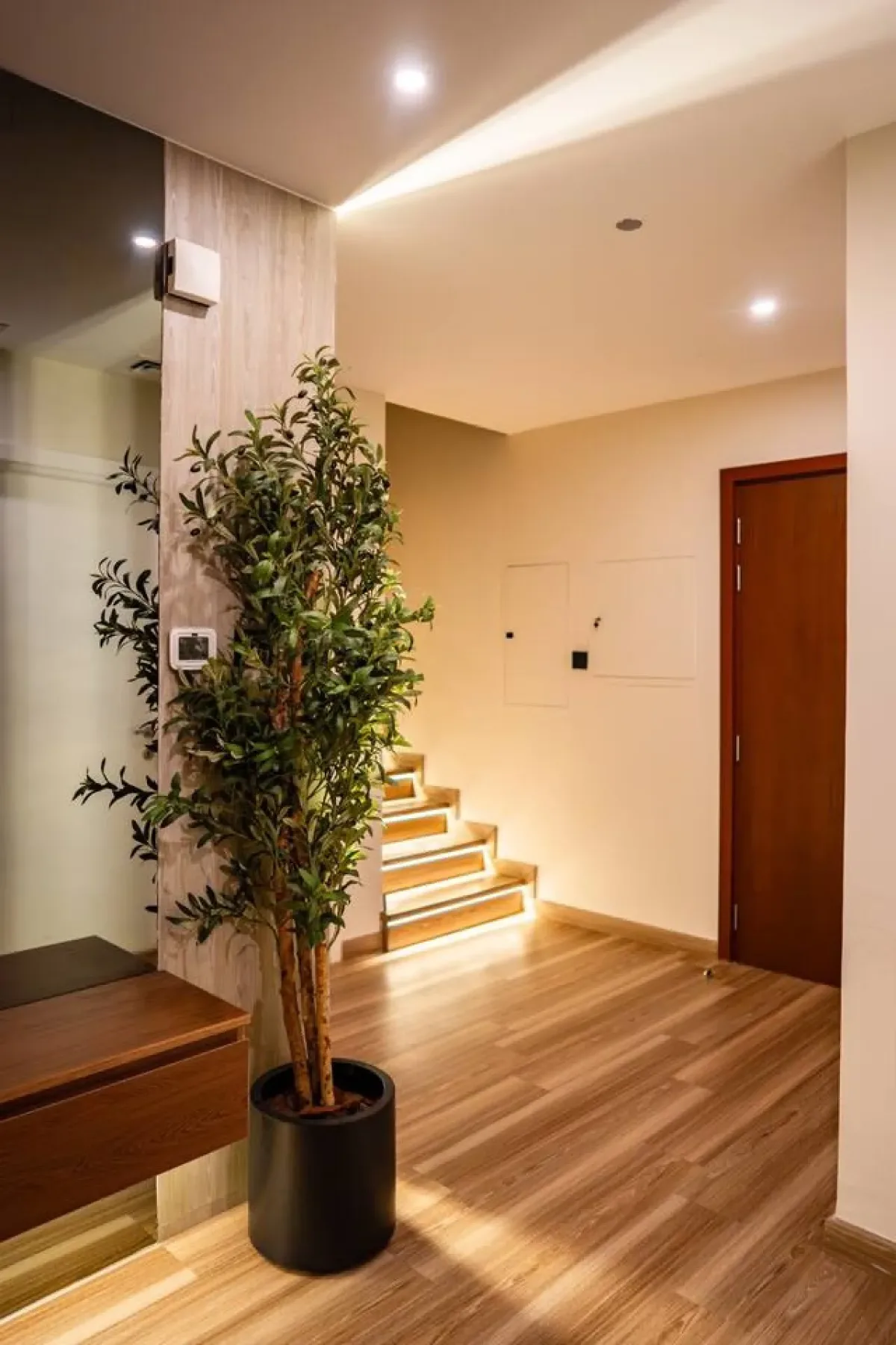 A warm-lit interior hallway with a potted tree beside a short staircase.