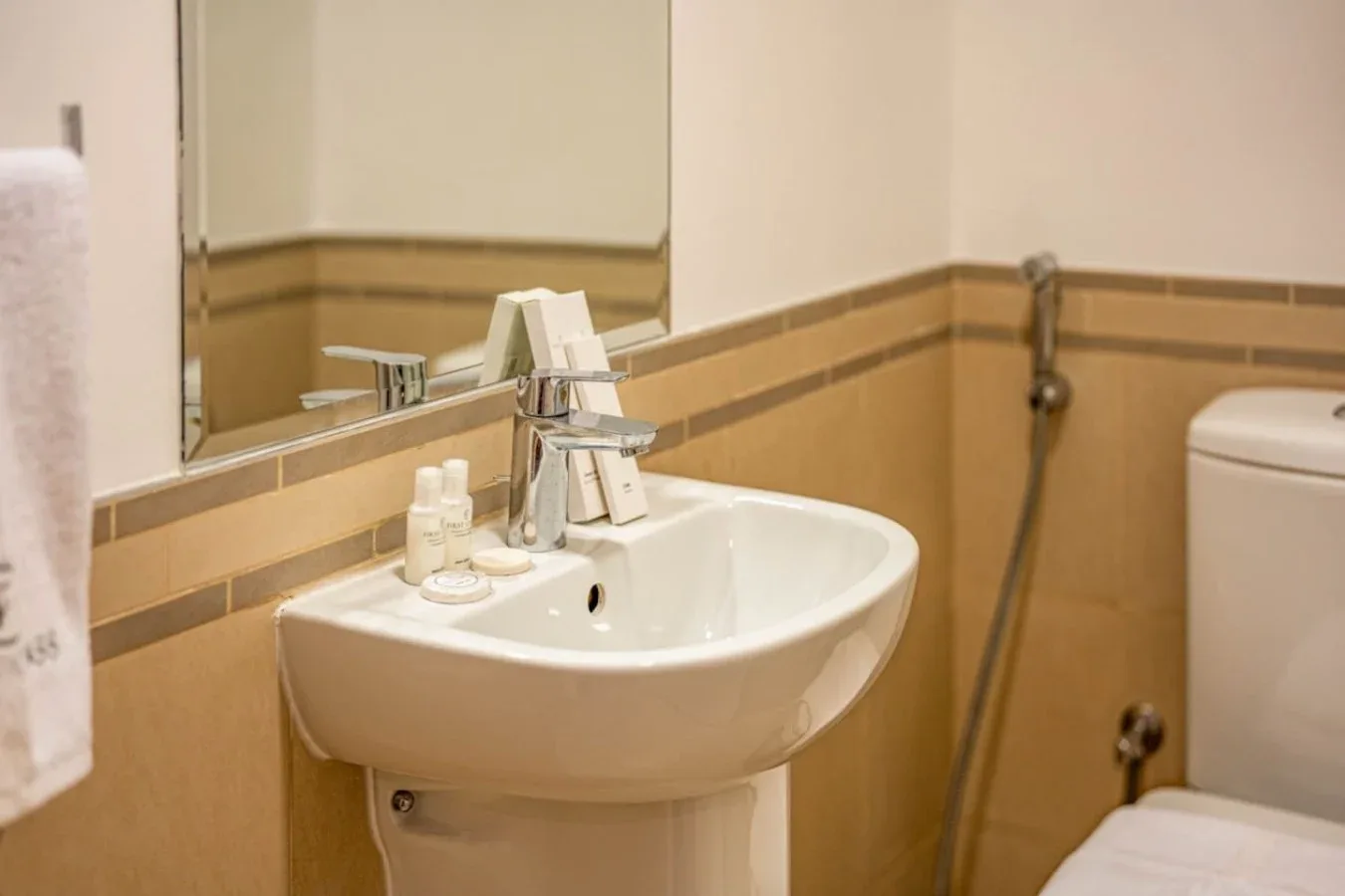 A bathroom sink sits beneath a large mirror, with a toilet beside it.