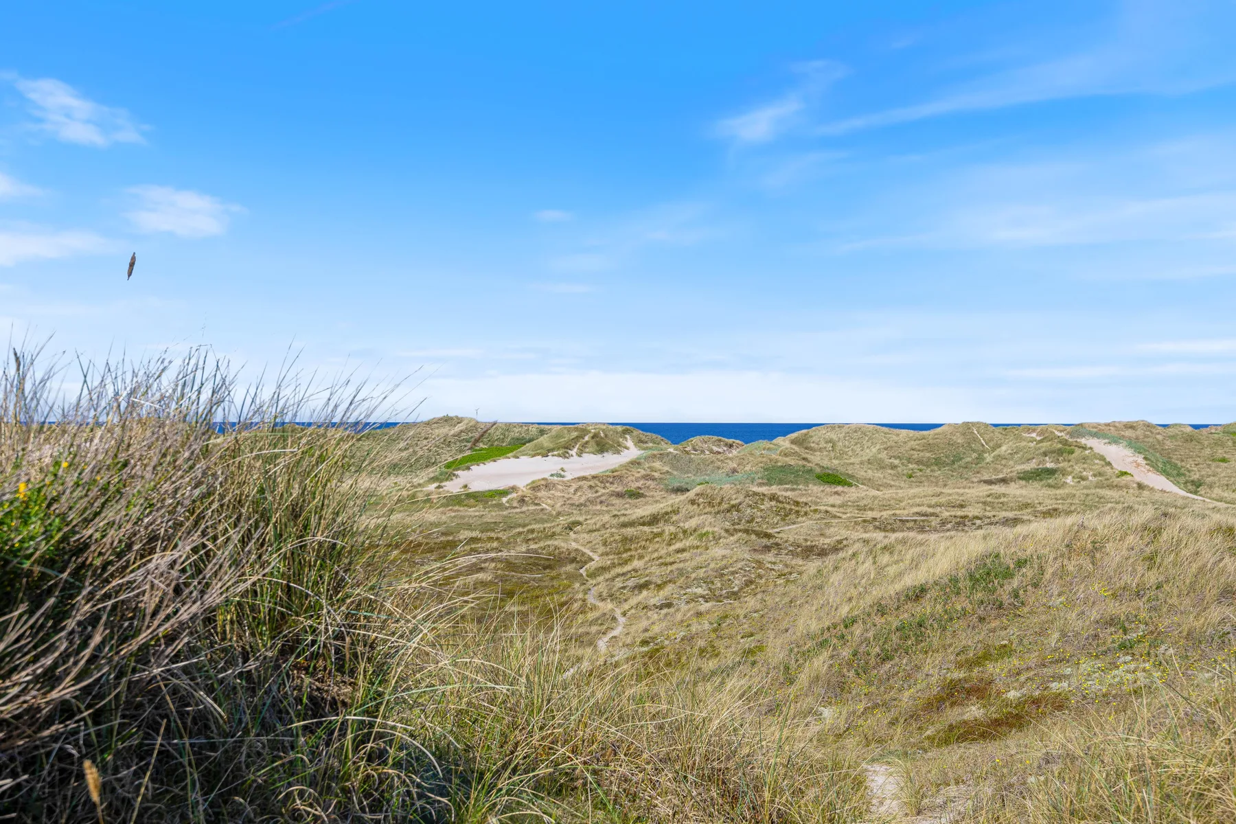 Dunas costeras cubiertas de hierba se extienden hacia el mar bajo un cielo azul.