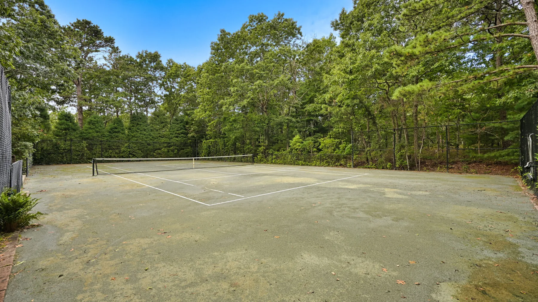 Una cancha de tenis al aire libre rodeada de árboles, con una red sobre la superficie de juego.