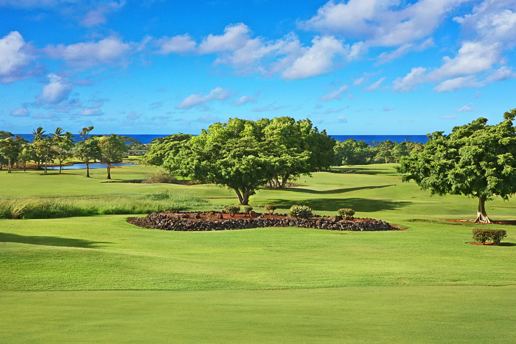 A green landscaped lawn with leafy trees and the ocean visible in the distance.