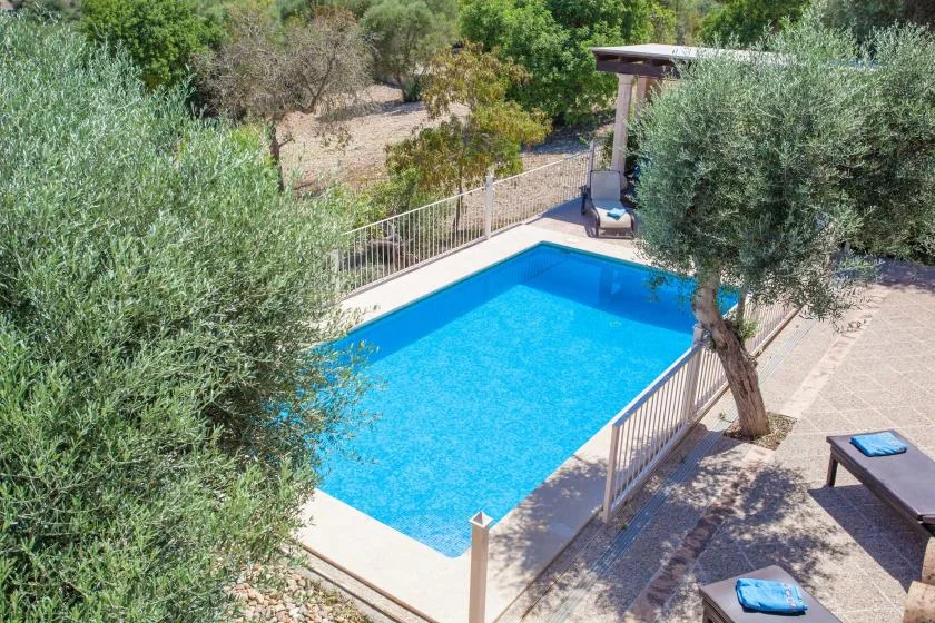 Una piscina azul brillante está rodeada de árboles y asientos al aire libre.