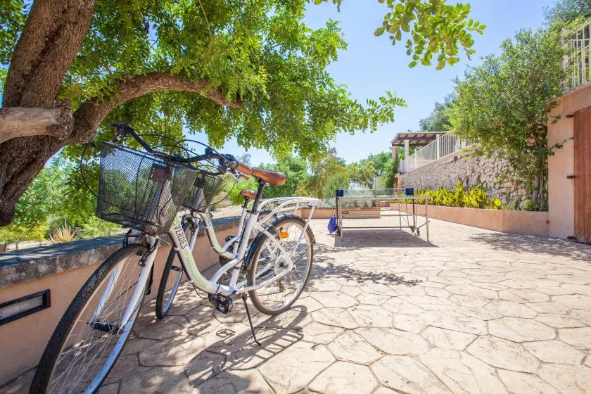 Un patio exterior pavimentado con bicicletas bajo un árbol frondoso.
