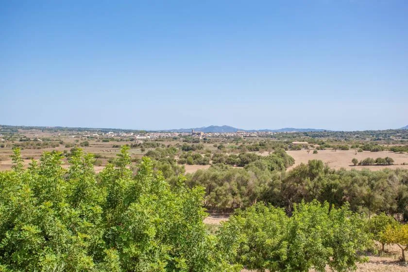 Un paisaje rural con árboles verdes, campos abiertos y colinas lejanas bajo un cielo despejado.