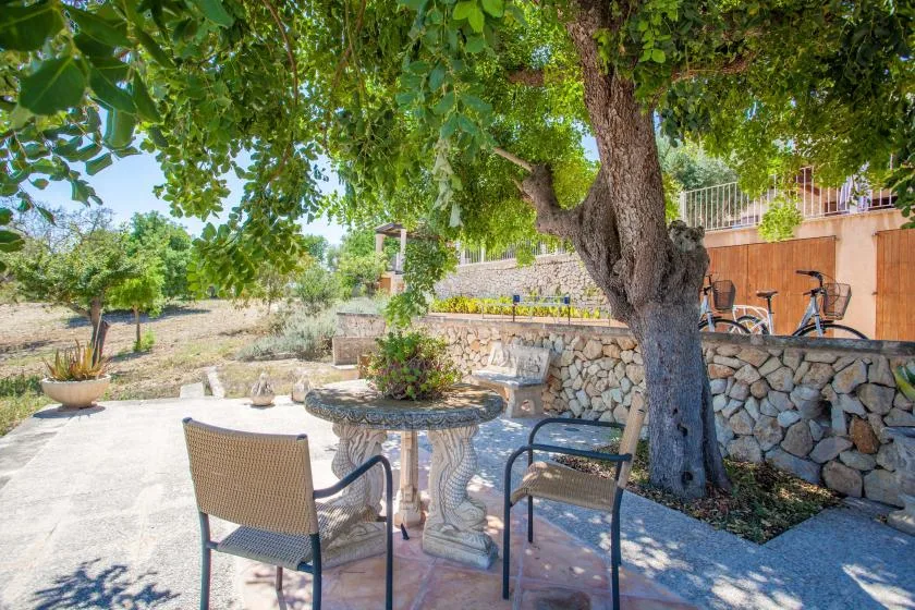 Un patio exterior sombreado con asientos y una mesa de piedra bajo un árbol grande.