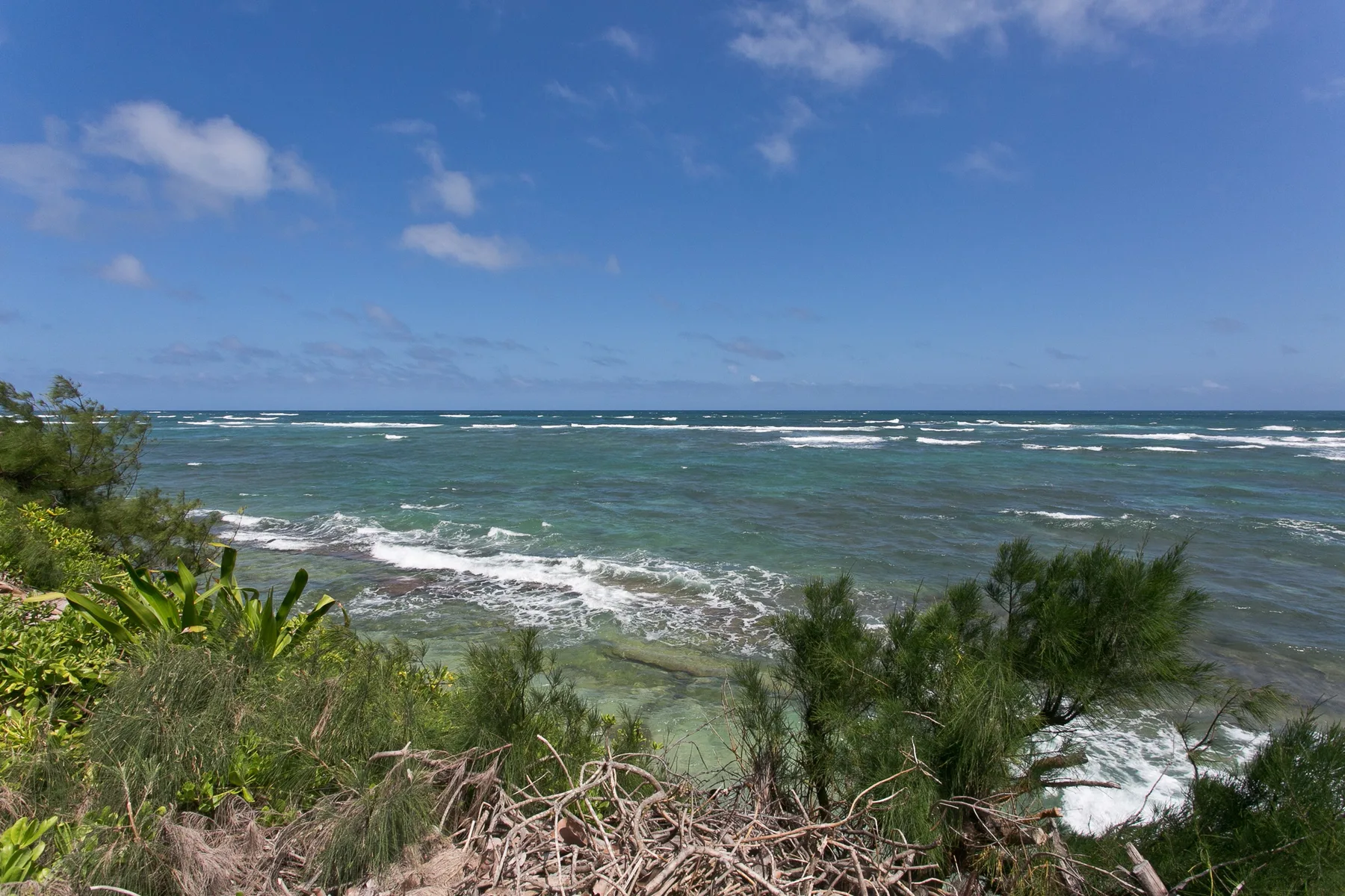 Ocean waves break along a shoreline bordered by low coastal vegetation.