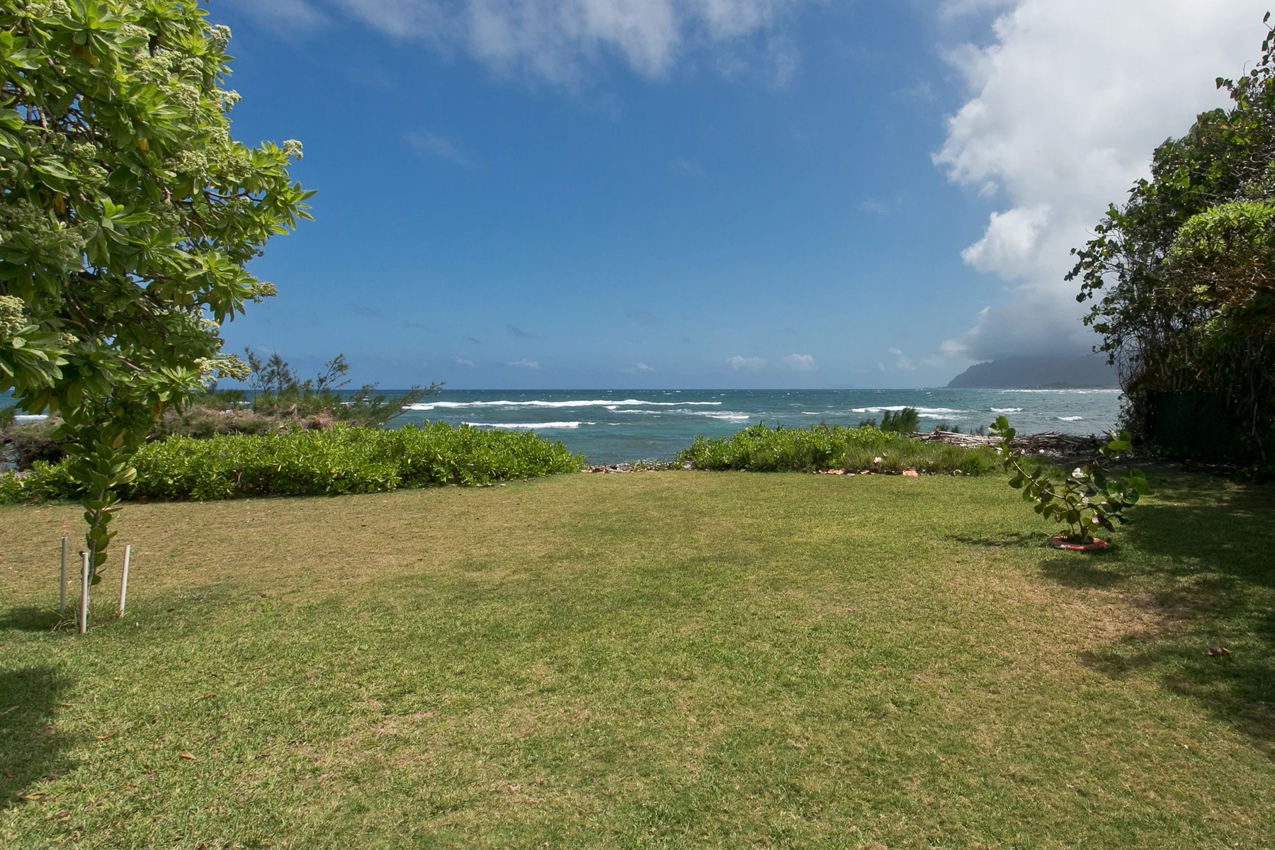 A grassy lawn overlooks the ocean, framed by leafy trees and shrubs.