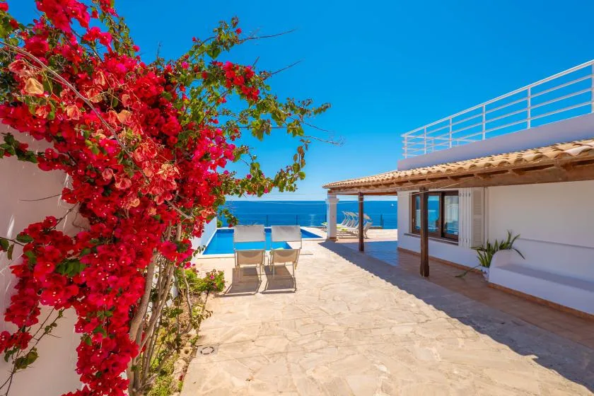 Un patio junto al mar con asientos al aire libre y enredaderas de flores rojas junto al edificio.