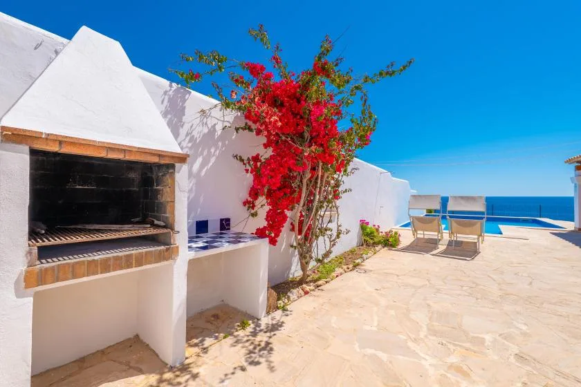 Un patio exterior soleado con una barbacoa, una planta en flor y vistas al mar.