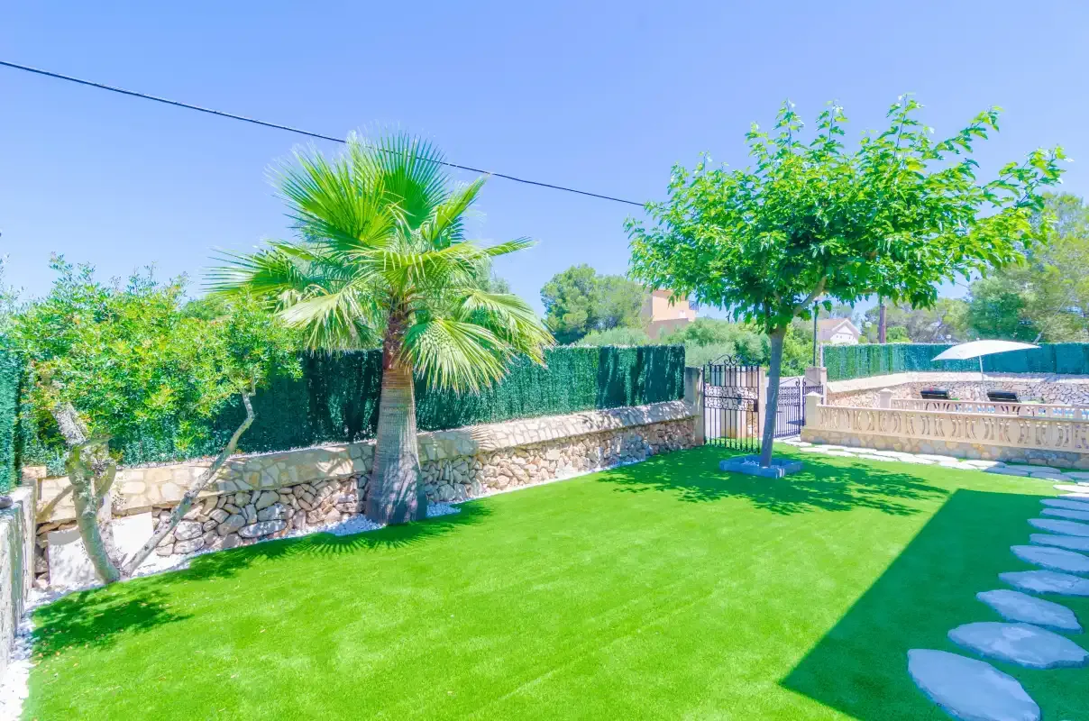 A sunny garden with green lawn, palm trees, and a stone wall.