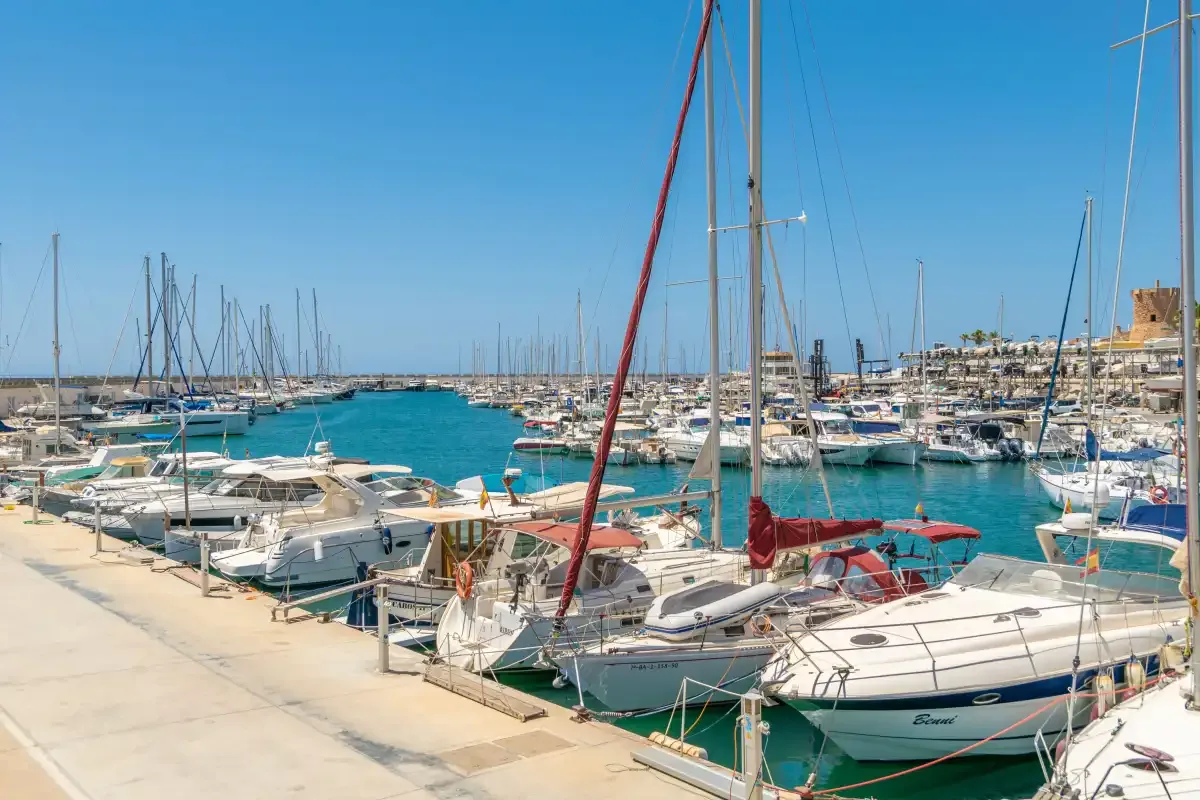 A marina filled with moored boats along a sunny waterfront.