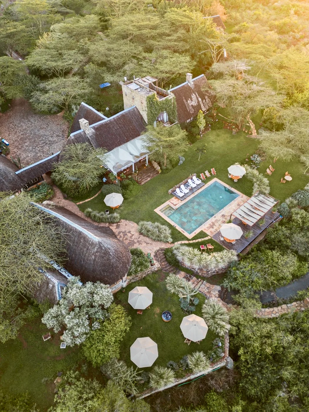 Ololo from above
