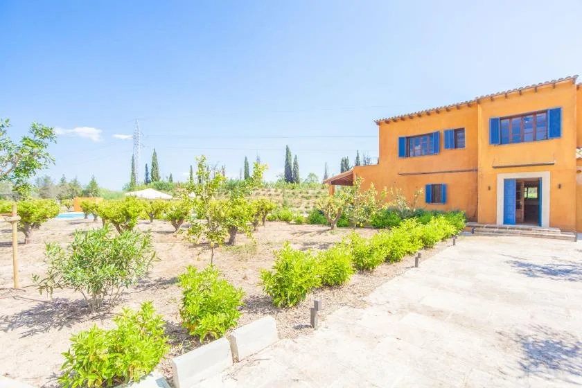 An orange house stands beside a garden with rows of green plants.