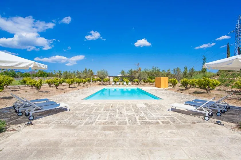 An outdoor swimming pool sits on a paved patio surrounded by loungers and greenery.