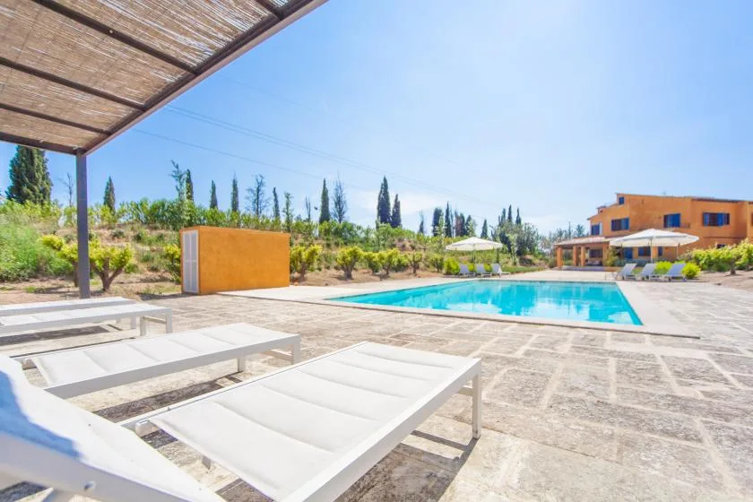 An outdoor swimming pool beside a sunlit patio and landscaped grounds.