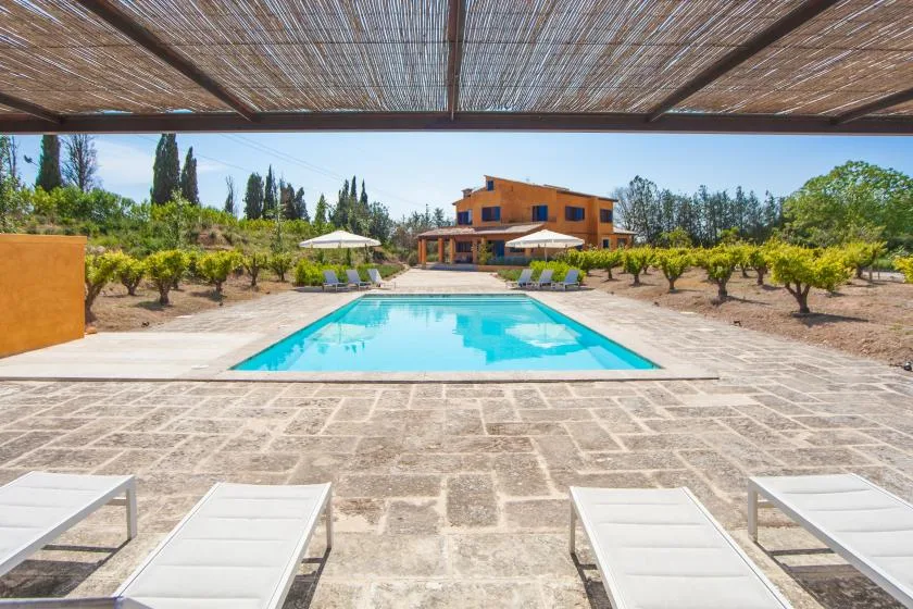 A swimming pool sits beside a paved patio, with trees and a building beyond.