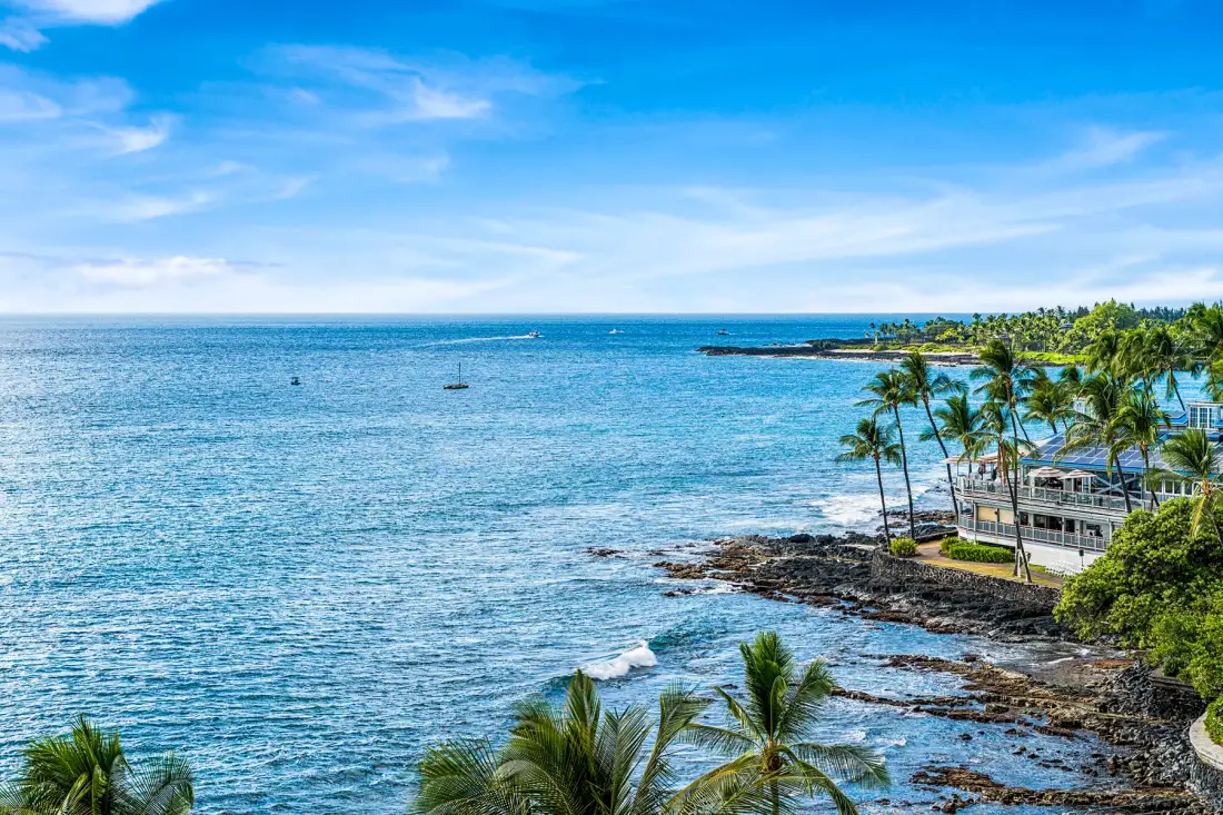 Una costa tropical con palmeras junto al agua azul y clara.