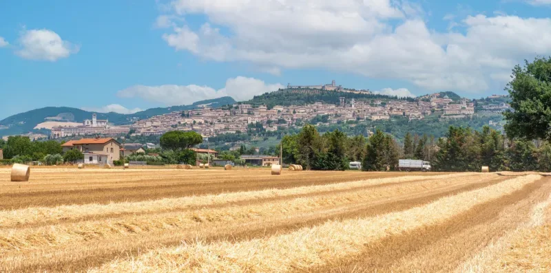 A harvested field stretches toward a hillside town beneath a partly cloudy sky.