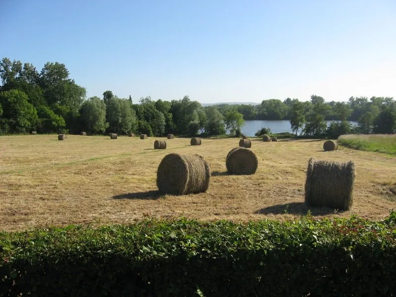View of Lake Ardres